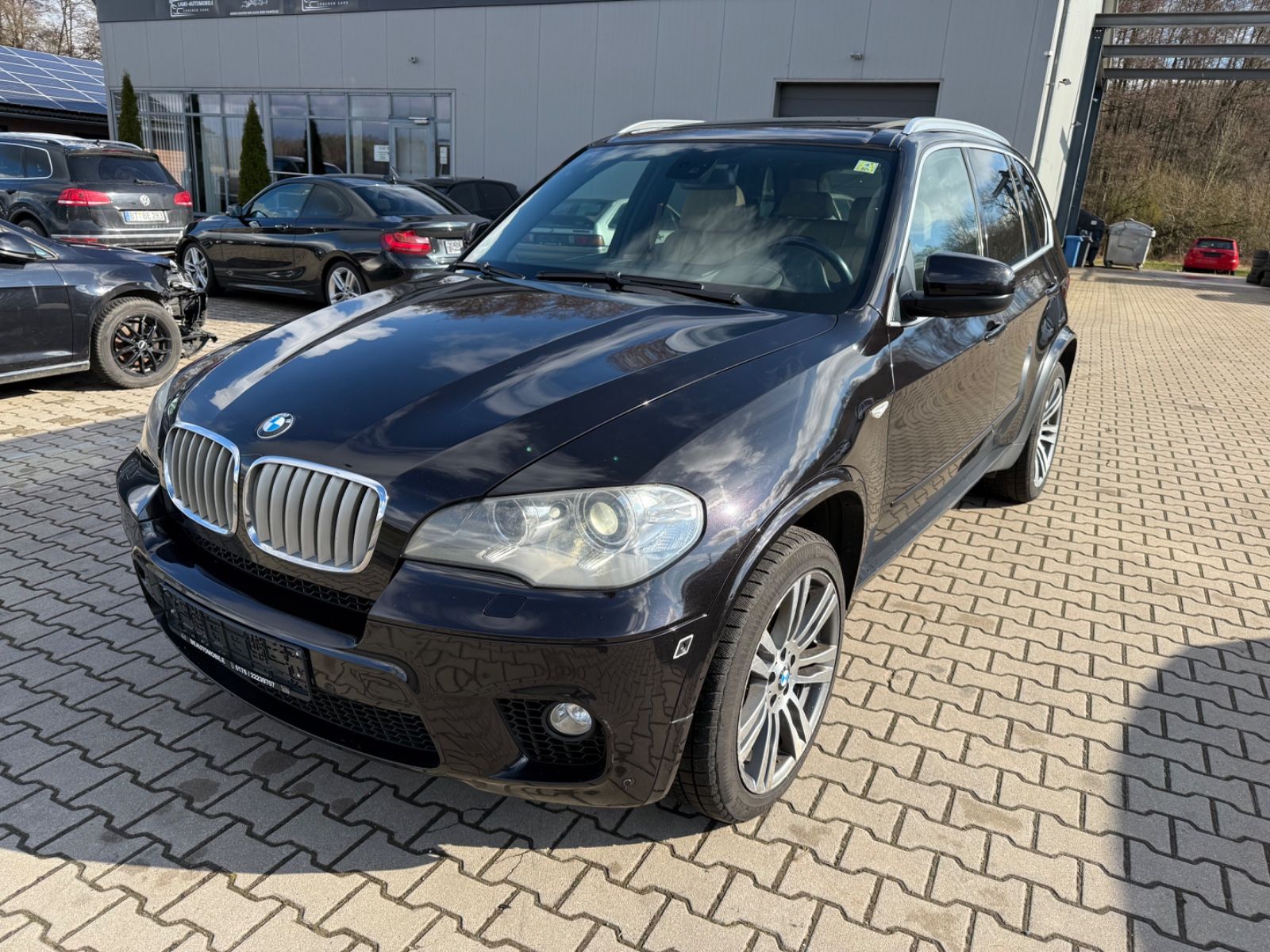 Foto Euro 5 BMW X5 xDrive40d 2010