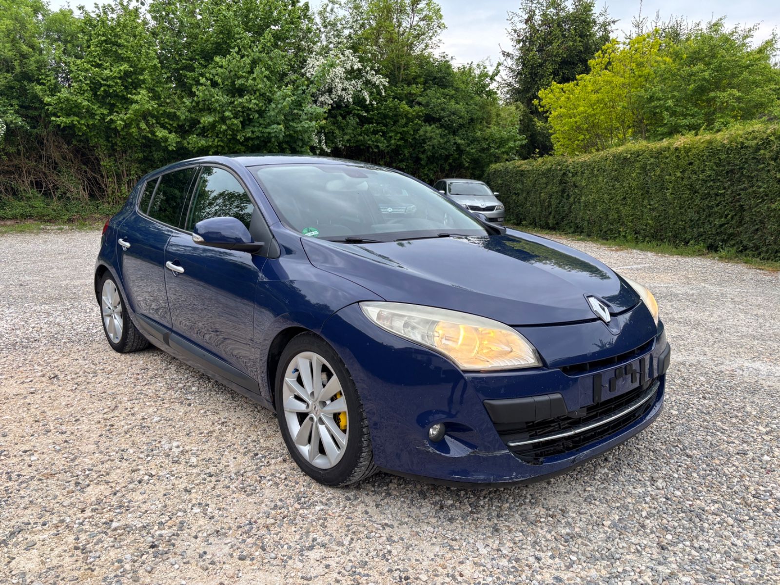 Foto Euro 5 Renault Megane III 1.9d *Euro5 2010